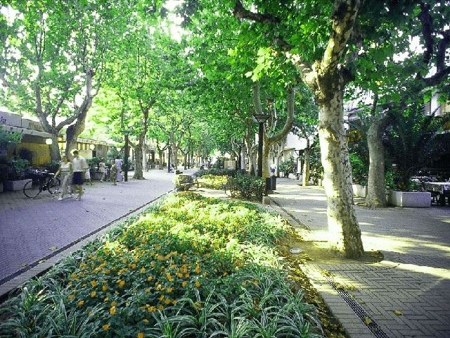 bellaria