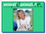 Animali e Animali Animali e Animali