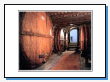 Battistini Vini Battistini Vini