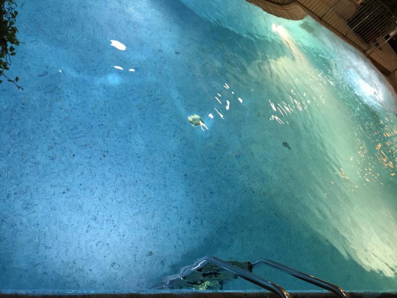 Hotel Villa Verde Gallery 7