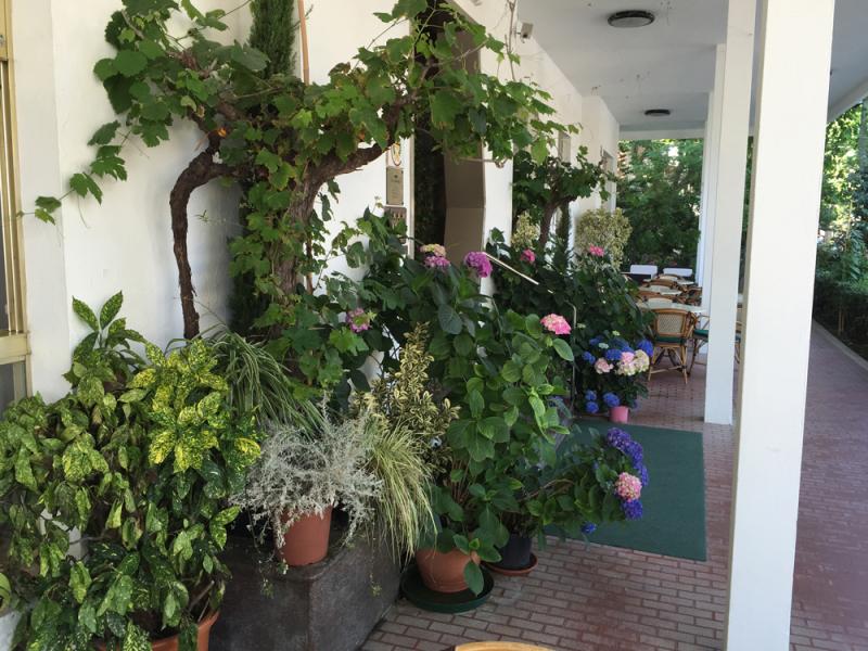 Hotel Villa Verde Gallery 13