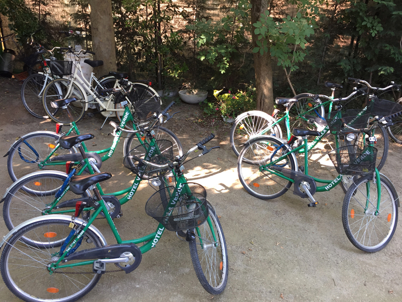 Hotel Villa Verde Gallery 17