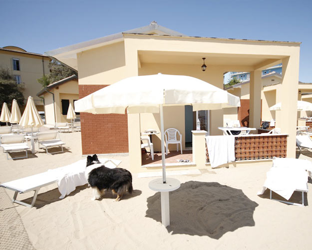 Hotel Royal Inn Gallery 19