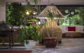 Hotel Club Gallery 8 Preview